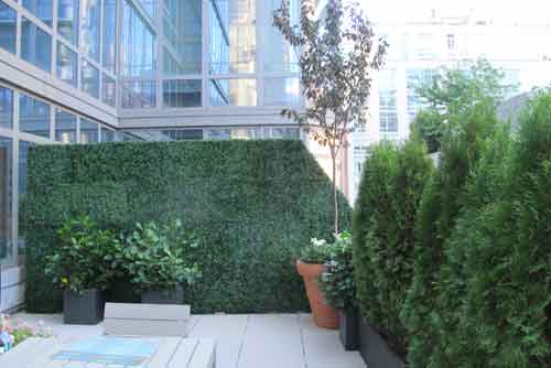 After Installation Plantings for Privacy